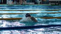 IMG_2866.jpg